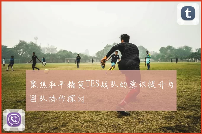 聚焦和平精英TES战队的意识提升与团队协作探讨