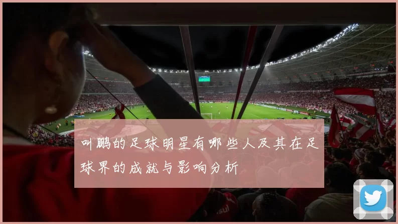 叫鹏的足球明星有哪些人及其在足球界的成就与影响分析