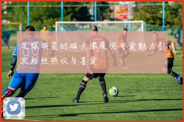 足球明星的猫头像展现可爱魅力引发粉丝热议与喜爱