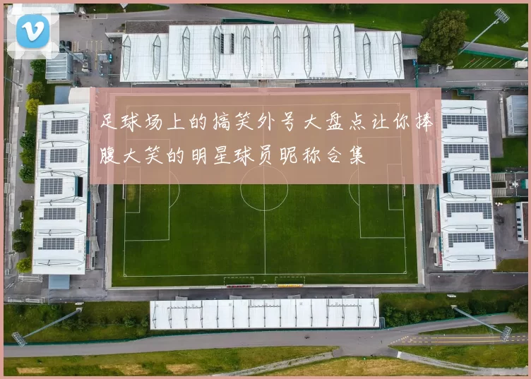 足球场上的搞笑外号大盘点让你捧腹大笑的明星球员昵称合集