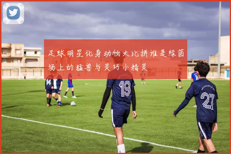 足球明星化身动物大比拼谁是绿茵场上的猛兽与灵巧小精灵