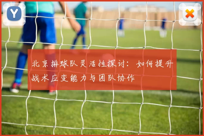 北京排球队灵活性探讨：如何提升战术应变能力与团队协作