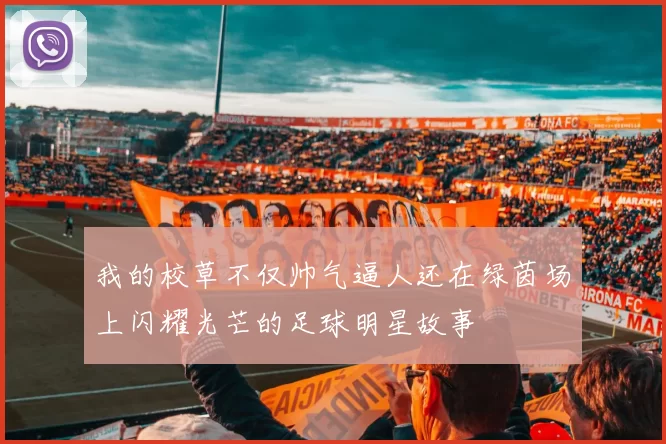 我的校草不仅帅气逼人还在绿茵场上闪耀光芒的足球明星故事