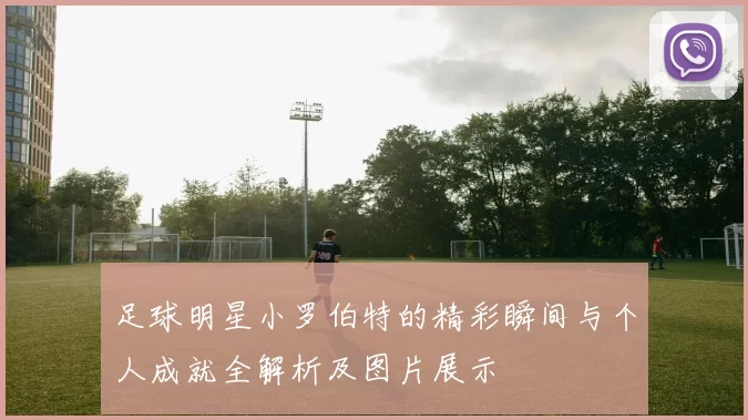 足球明星小罗伯特的精彩瞬间与个人成就全解析及图片展示